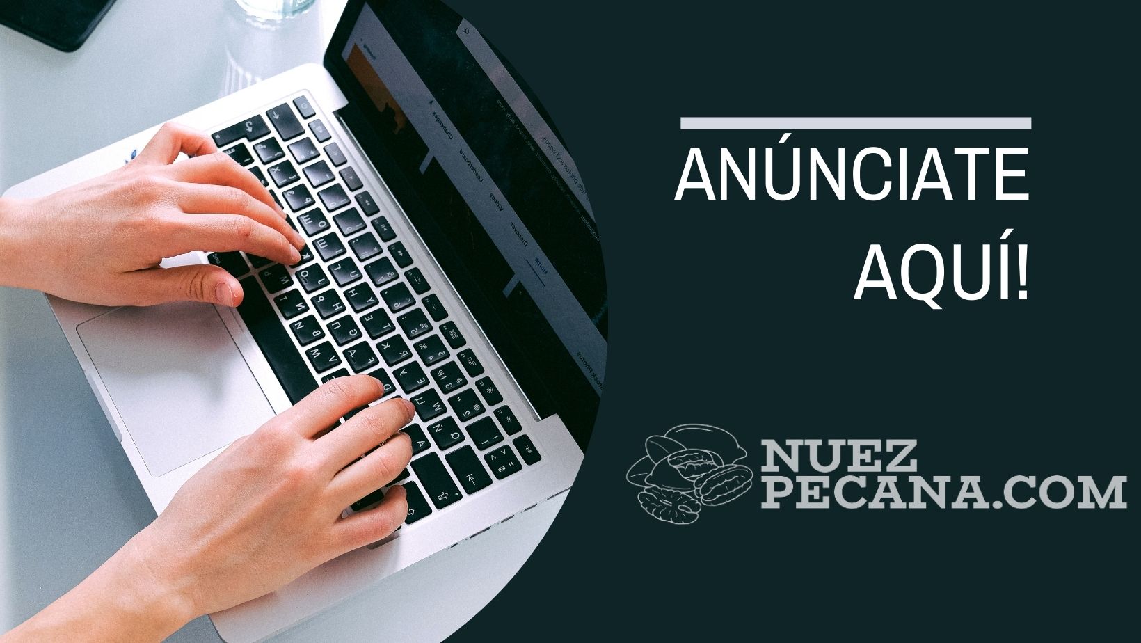 Nuez Pecana.com