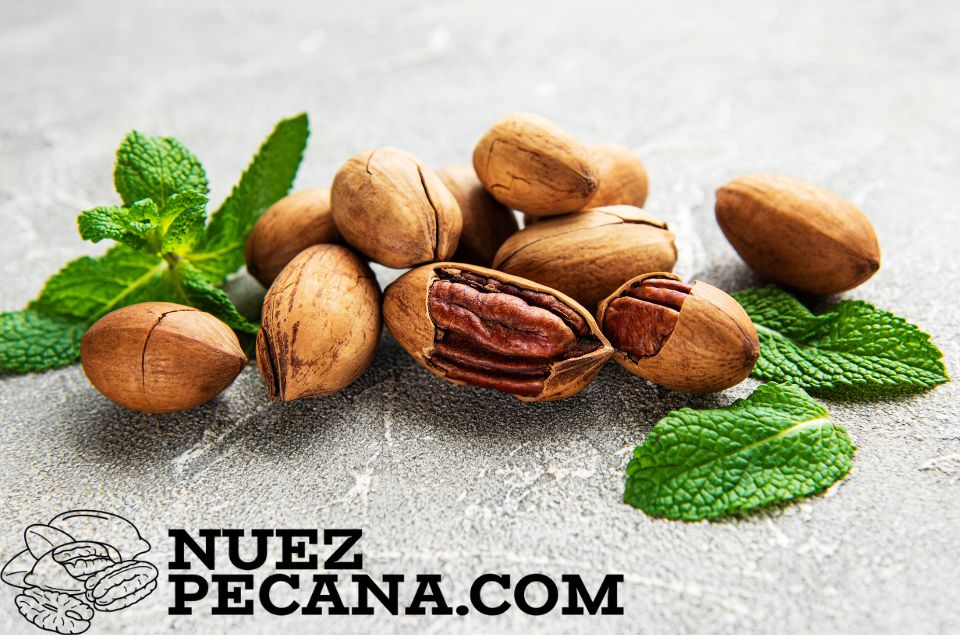 Nuez Pecana Organica